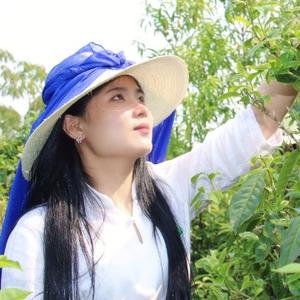 茶花仙子进城 头像