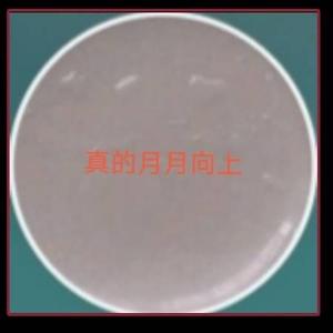 真的月月向上 头像