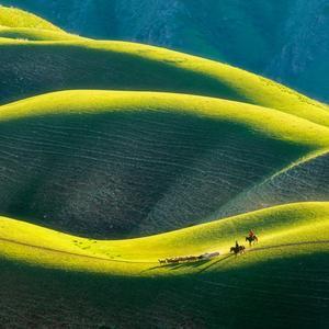 生物客