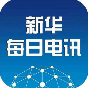 新华每日电讯 头像
