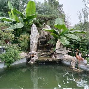 账房一先生