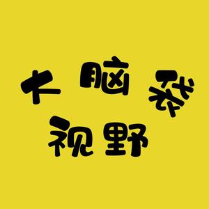 大脑袋视野 头像