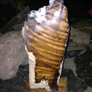 林中悠闲赏景 头像