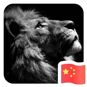 D先生早安 头像