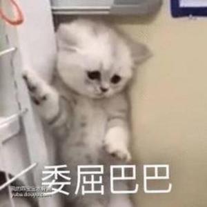 智慧麻辣酱 头像