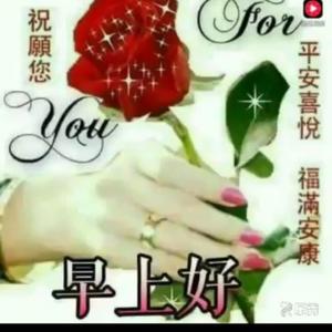 聪明画板P开心快乐