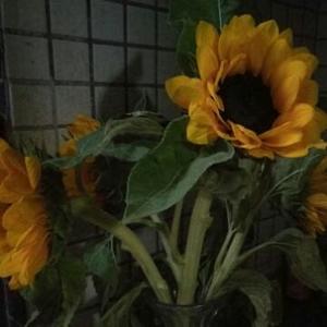 专也拼夕夕