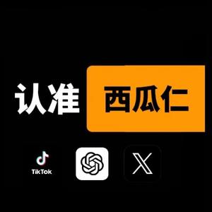 国际版抖音tiktok白P勿扰头像