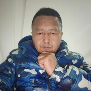 社会观察家猎鹰 头像