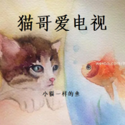 猫哥爱电视头像