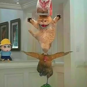 幸运柳叶oXOD0EG 头像