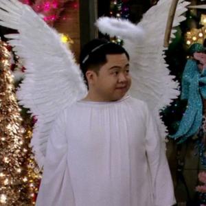 膨胀的羊毛 头像