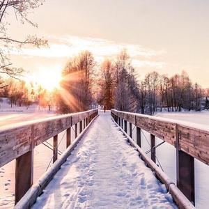 清爽轮船WhN 头像