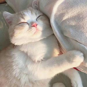 佳诺集团曾进 头像