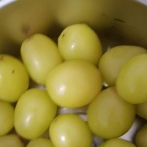 大鹏和你聊言值 头像