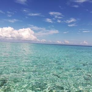 小倪边看边说 头像