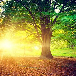 一缕和煦&暖阳 头像