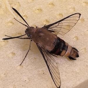 凌乱的生活 头像