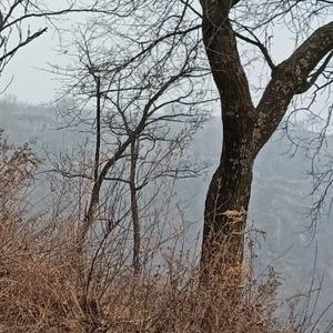 平凡的过去也美好 头像