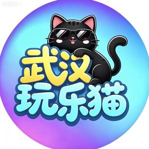武汉玩乐猫 头像