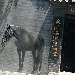 欧石楠