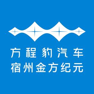 方程豹宿州金方纪元店 头像