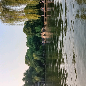 青涩蜻蜓sZ 头像