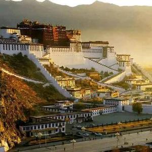 🇨🇳🌟🍀谦渡🍀🙏 头像