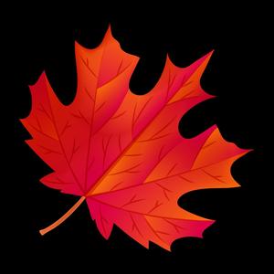 优美云朵r 头像