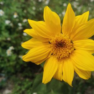 逐梦时光里 头像