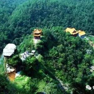 滇东务林教育 头像