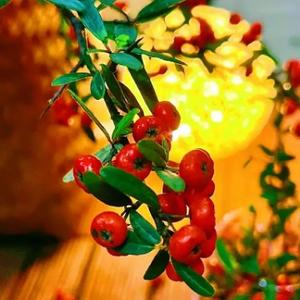 嘉琳老师英语课 头像