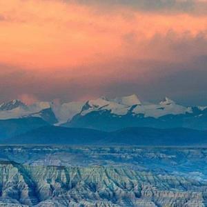 日戈科技说 头像