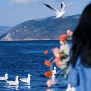 一颗小瓶子o 头像