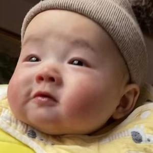 蜗牛的妄想 头像