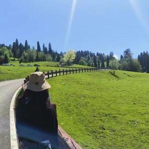 板凳同学爱旅行 头像