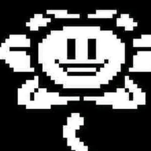 努力的小花 头像