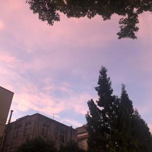 动漫小分队呀 头像