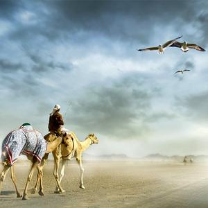 大漠黄沙007 头像