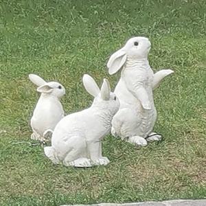 纵观风云123 头像