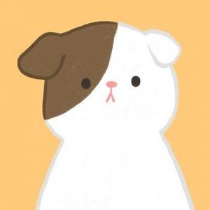 会飞的泡泡没了 头像