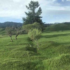 诗和远方都很贵 头像