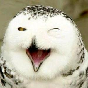 同学一起你要 头像