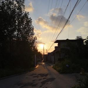 一位扑街的小说写手 头像