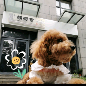 颂懿家•寿司蛋糕 头像