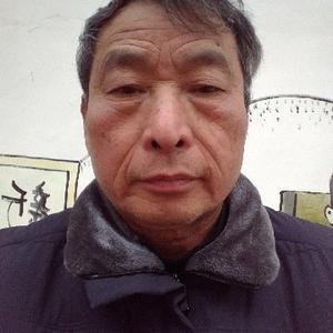 飞来飞去3488