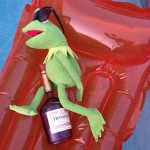 摇晃小颠婆 头像