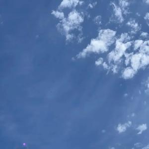 海边看帆船的游客 头像