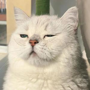 千和纪录 头像