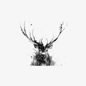 麋鹿观世界 头像